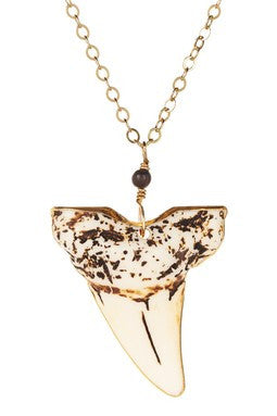 Resin Shark Tooth Pendant Necklace