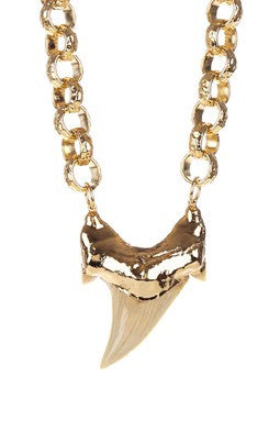 Fossilized Shark Tooth Pendant Necklace