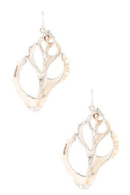 Shell Drop Earrings